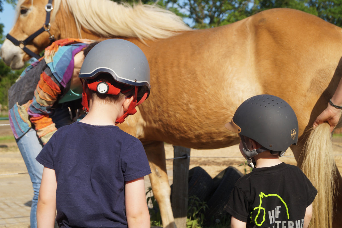 22.10. – Ponyzeit für 5–10-Jährige