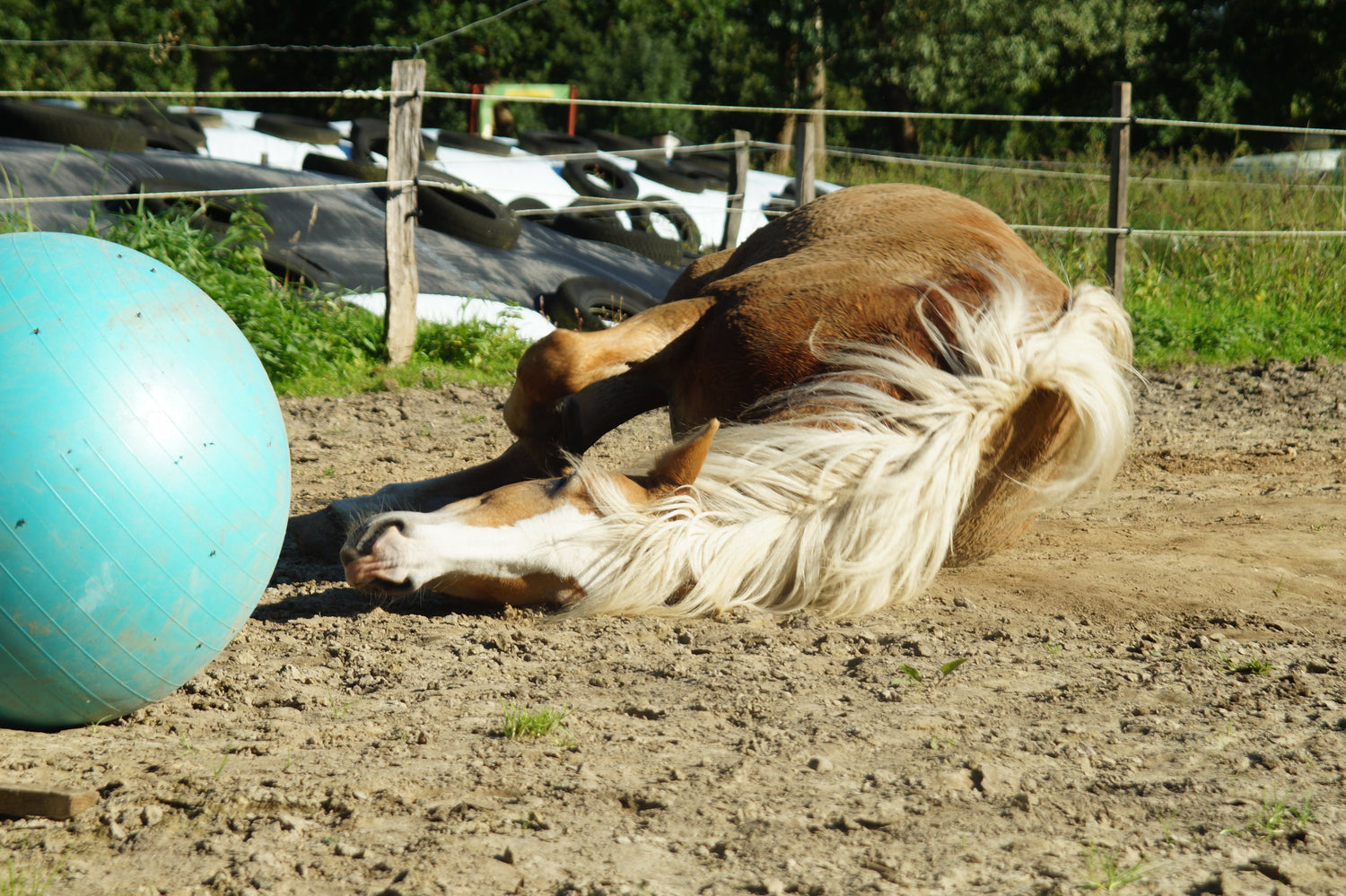 Fortbildung & Selbsterfahrung