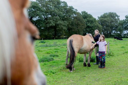 Osterferien: Ponyzeit für Kinder von 6-12 Jahren