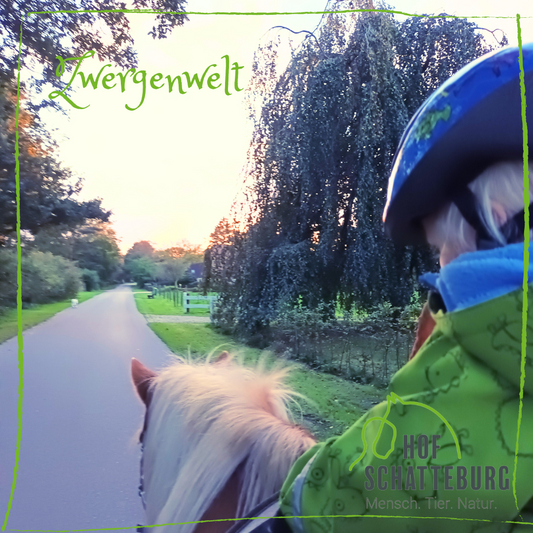 Ponyzeit für Kinder mit Begleitperson