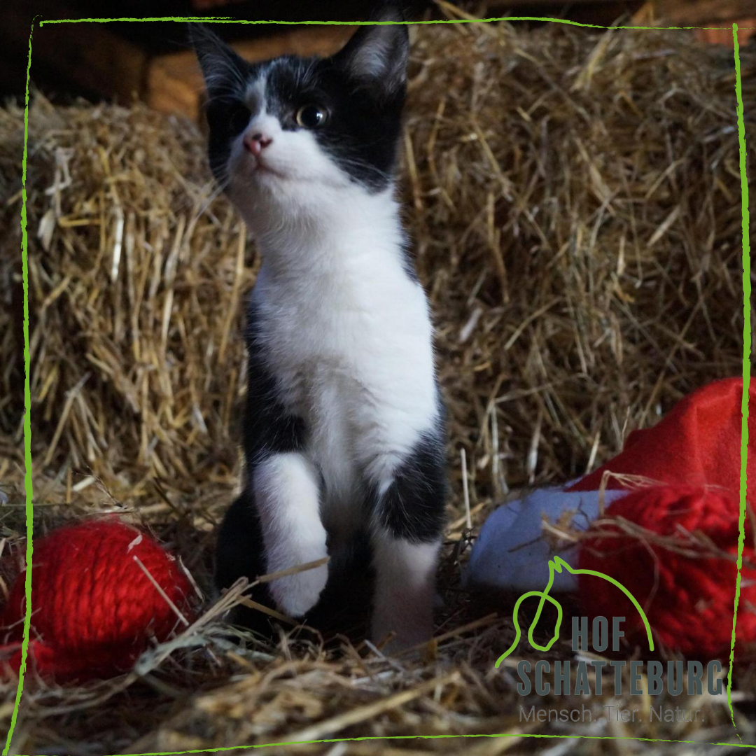 05.12.25 - Eltern-Kind-Zeit im Advent