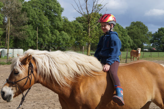 Schnuppertermin für die Pädagogische pferdegestützte Kindergruppe
