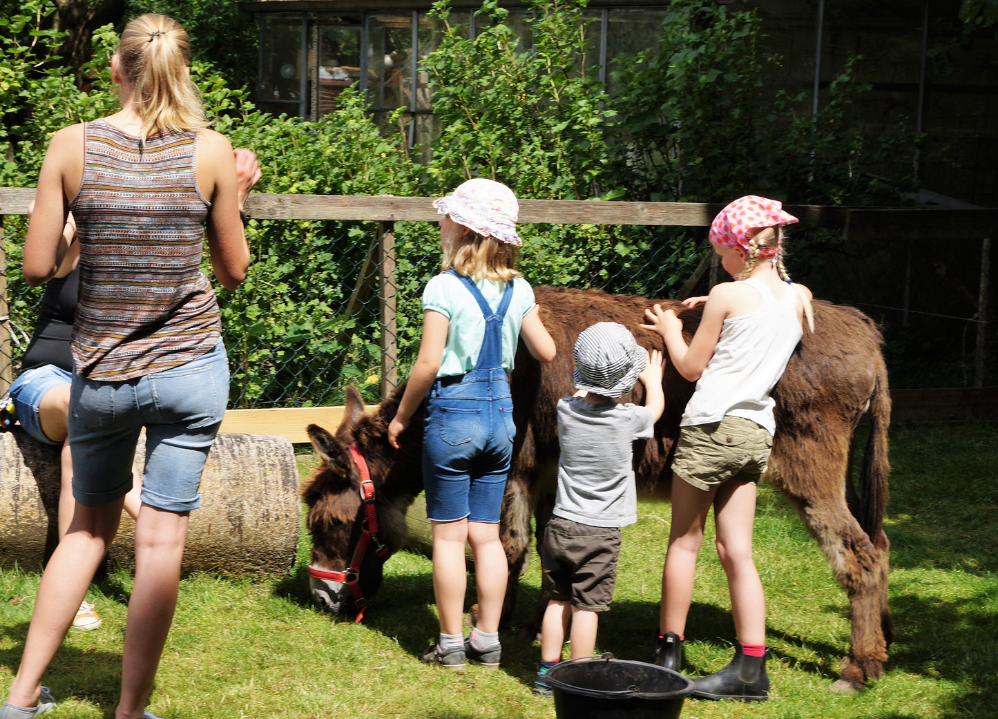 Jahreskurs 2026 auf dem Bauernhof für 5-10 Jährige
