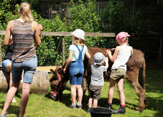 Jahreskurs 2026 auf dem Bauernhof für 5-10 Jährige